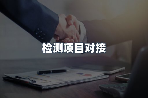 检测项目对接